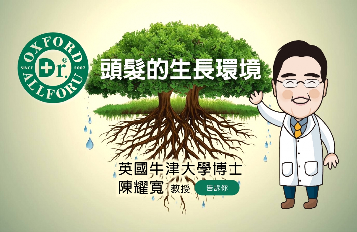 頭髮生長週期1